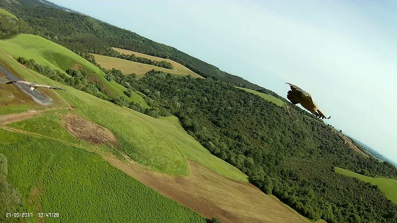 [Vol avec les vautours (immersion - Hotwing) - Mai 2017]